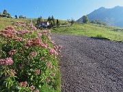 10 Alla casetta salgo la stradetta cementata